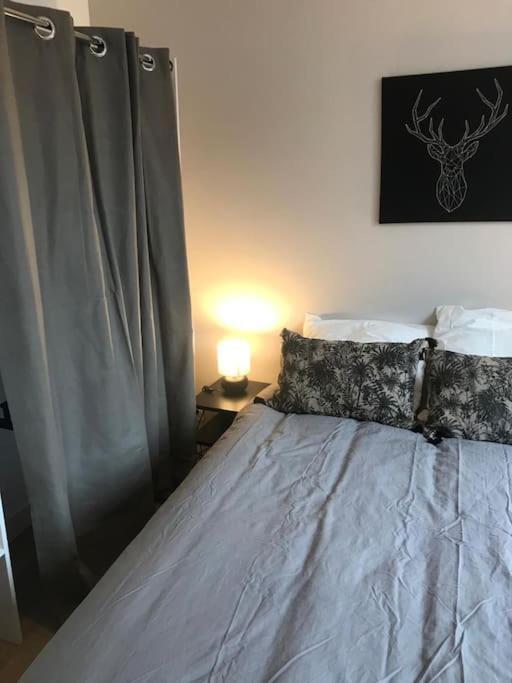 Bel Appartement 6P Tours Centre Εξωτερικό φωτογραφία
